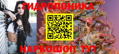 соль ск Краснознаменск