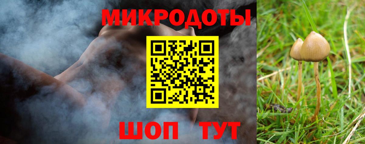 Вышний Волочёк  Псилоцибиновые грибы Psilocybe  Вход с VPN 